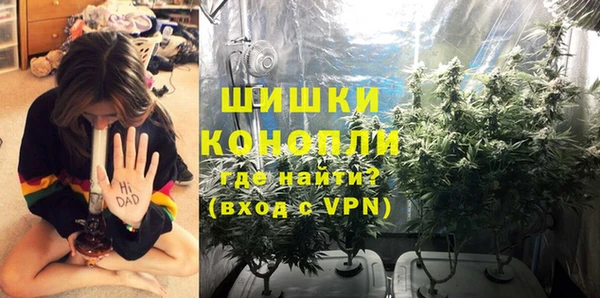 молекула духа Нефтекумск