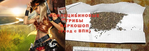 МДПВ Анива