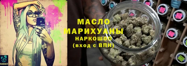 гидра Анжеро-Судженск