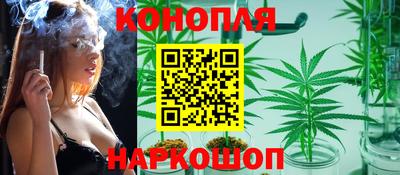 apvp Обь