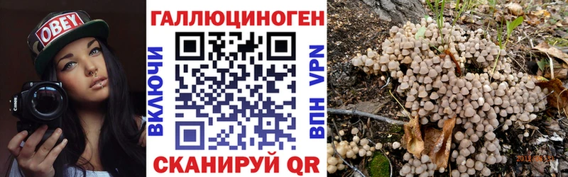 как найти закладки  Ревда  Псилоцибиновые грибы мухоморы 