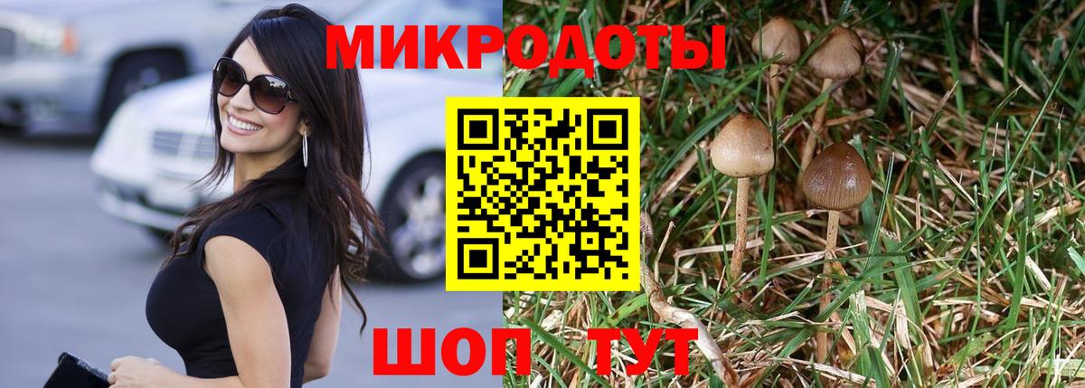 Галлюциногенные грибы Magic Shrooms Ревда