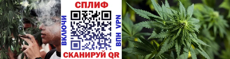 наркотики  Ревда  Канабис VHQ 